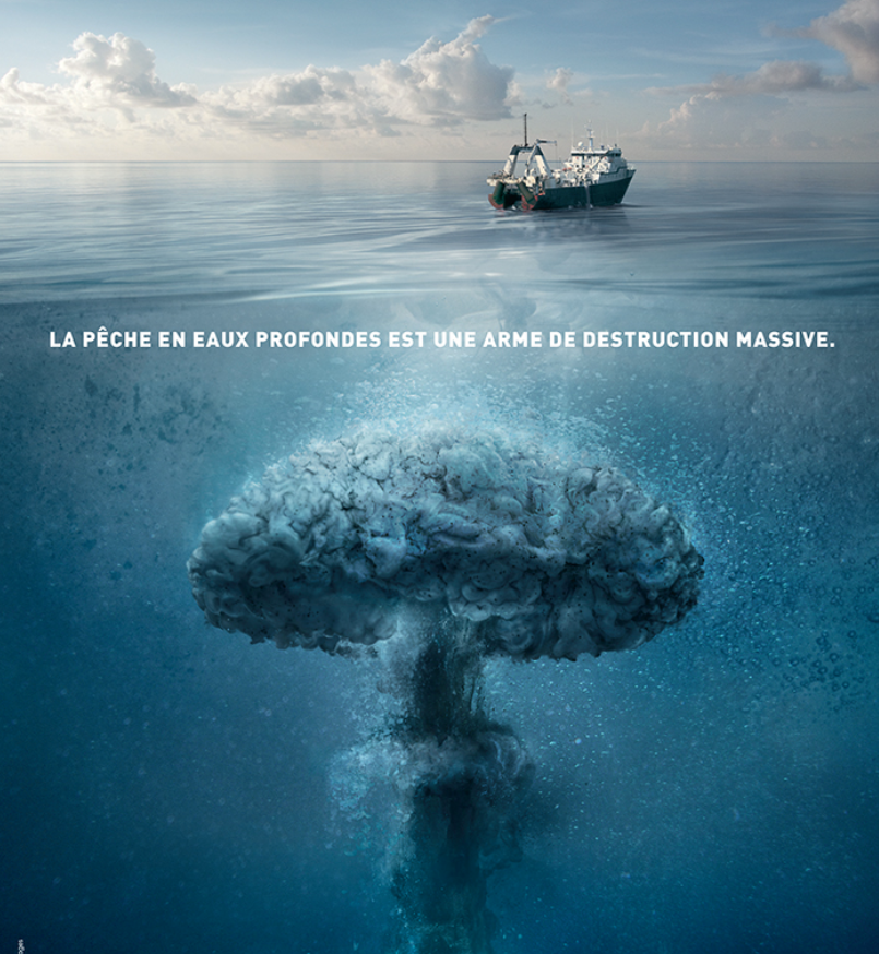 Affiche de la campagne de BLOOM contre la pêche en eaux profondes