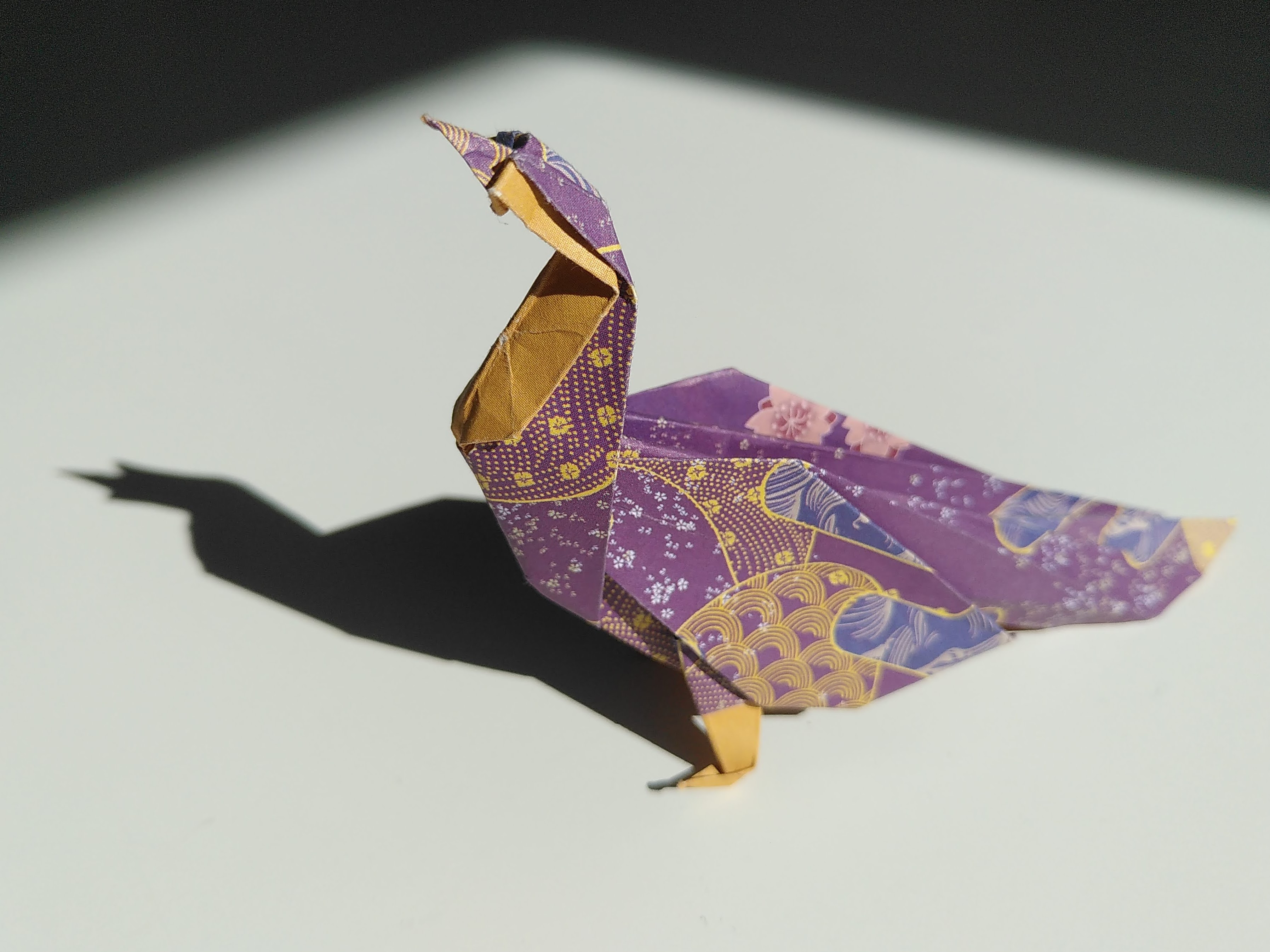 Peacock