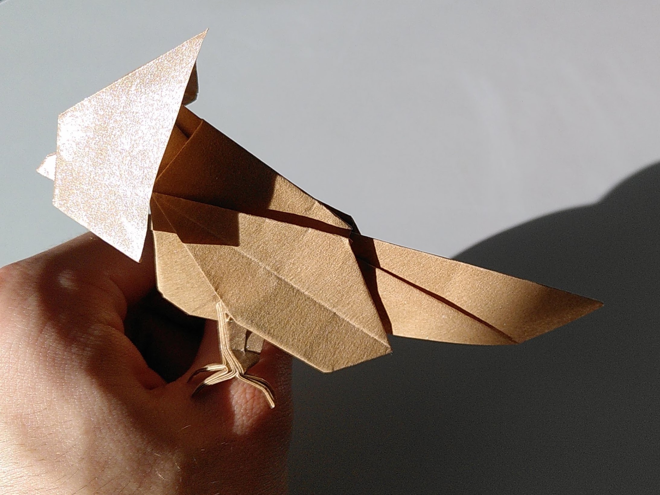 Bird