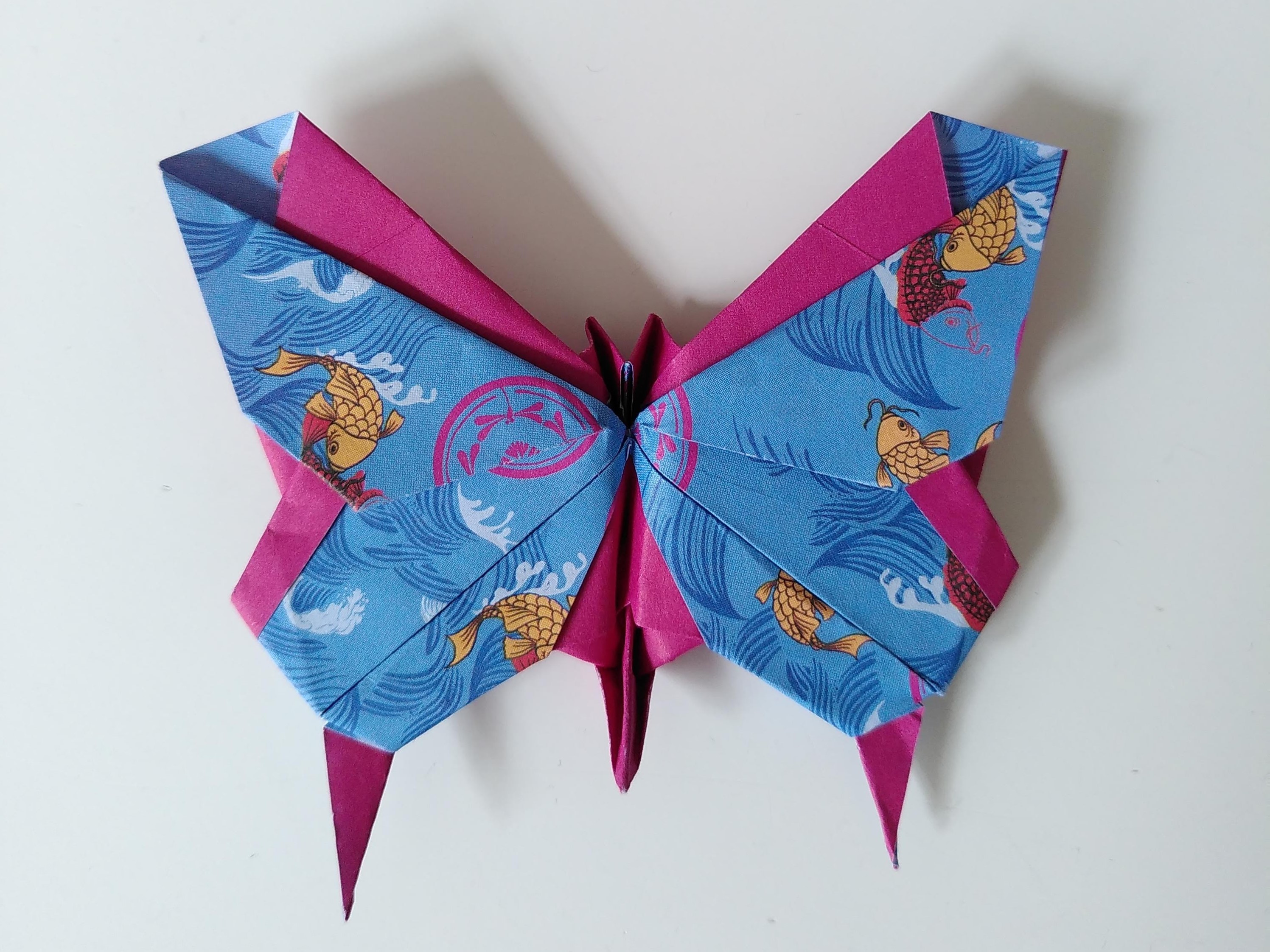 Papillon