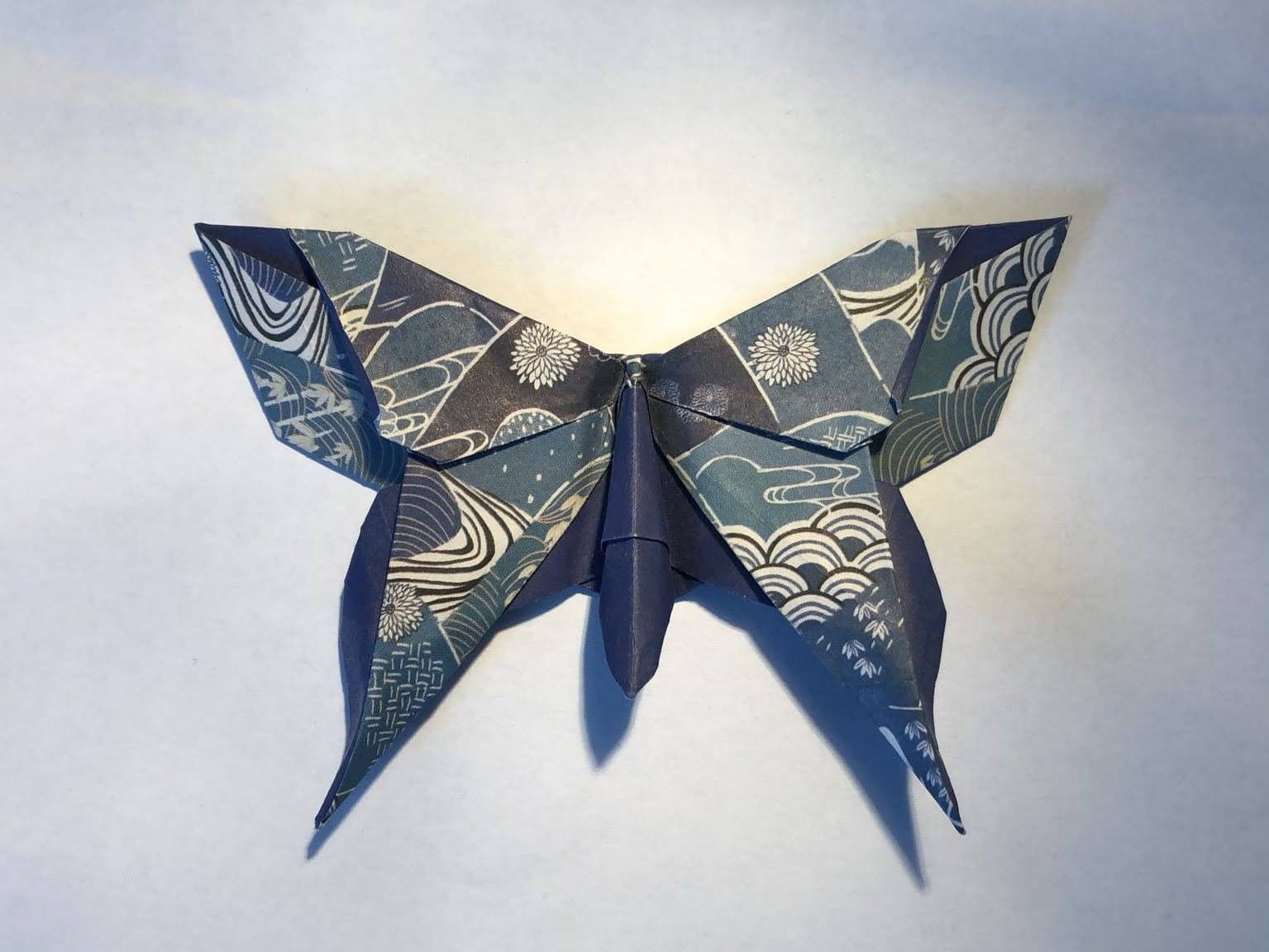 Papillon