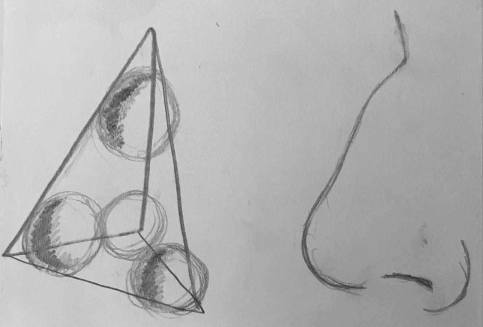 nez
